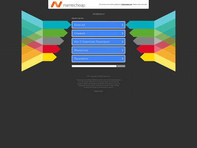 viralbiz.co snapshot