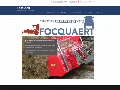 loonwerkenfocquaert.be snapshot