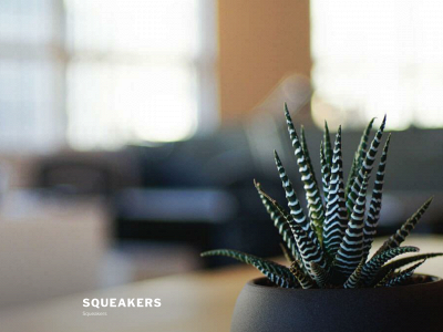 squeakers.us snapshot