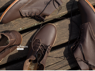 swinginshoes.com snapshot
