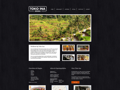tokoina.nl snapshot