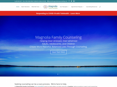 magnoliafamilycounseling.com snapshot