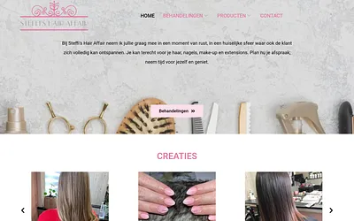 steffishairaffair.be snapshot