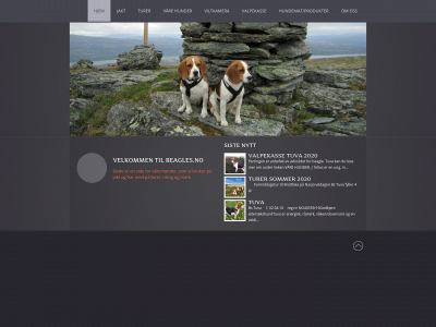 beagles.no snapshot