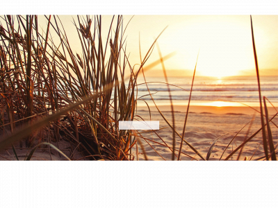 vanecoachlenemalmvig.dk snapshot