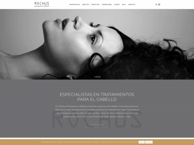 gruporochus.es snapshot