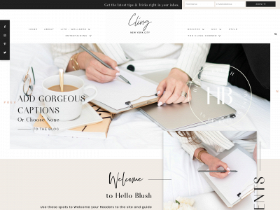 clingnyc.com snapshot