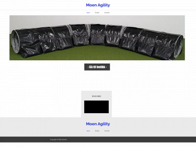 moenagility.no snapshot