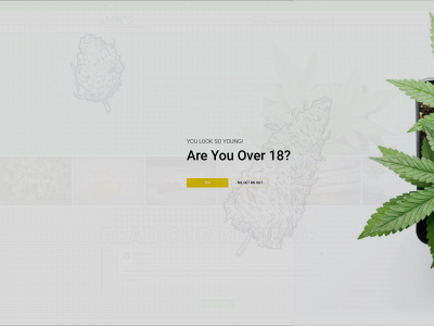 mkscureitwithcannabis.com snapshot
