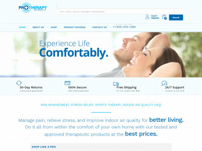 protherapydirect.com snapshot