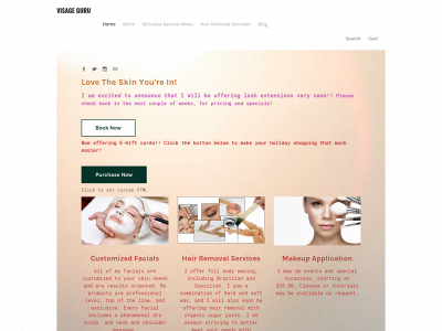 www.visageguru.com snapshot