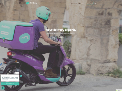 mela.biz snapshot