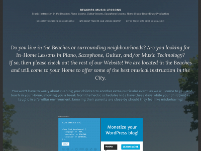 www.beachesmusiclessons.com snapshot