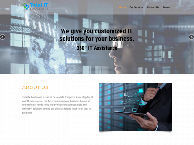 totalitysolutions.com snapshot