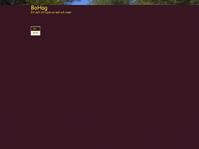 bohag.it snapshot