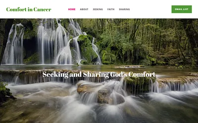 comfortincancer.com snapshot