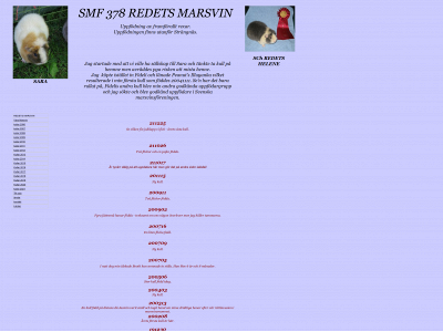 redets.se snapshot
