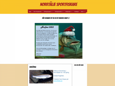 norrtaljesportfiskeklubb.se snapshot
