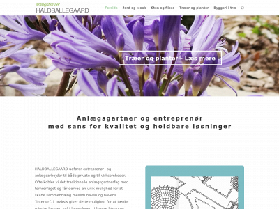haldballegaard.dk snapshot