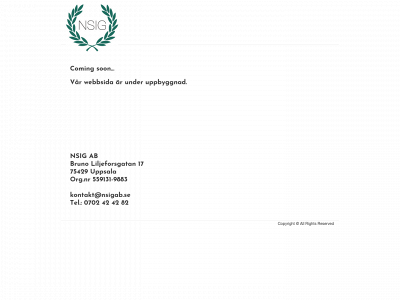 nsigab.se snapshot