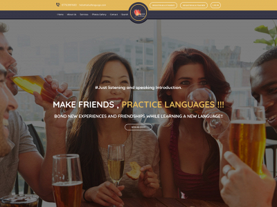 saludlanguage.com snapshot