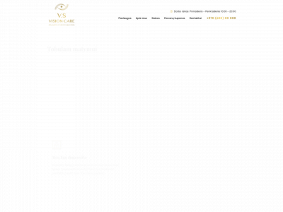 visioncare.lt snapshot