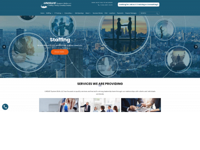 systemskills.com snapshot