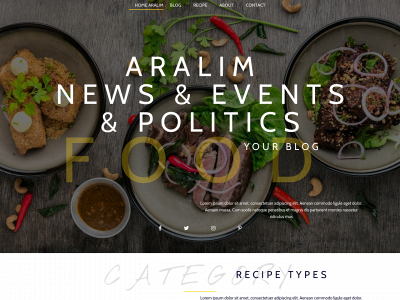 aralim.com snapshot