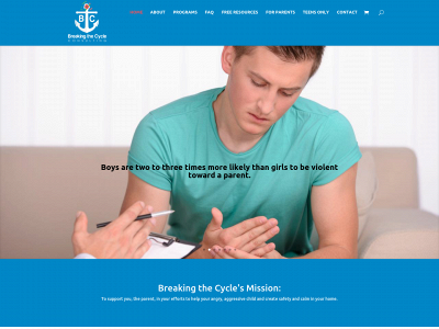 breakingthecycleconsulting.com snapshot