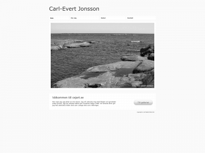 cejart.se snapshot