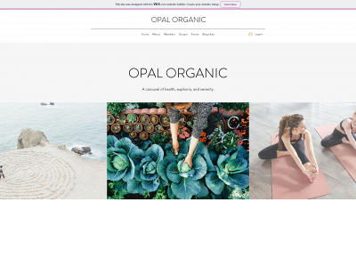 opalorganics.com snapshot