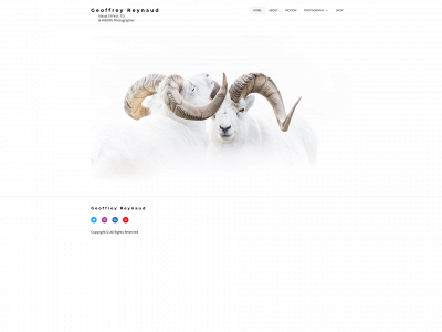 reynaud-geoffrey.com snapshot