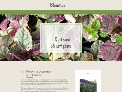 blomtips.se snapshot