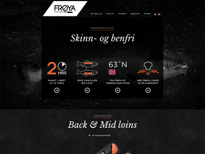 froyasalmon.site snapshot