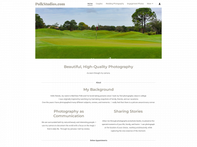 polkstudios.com snapshot