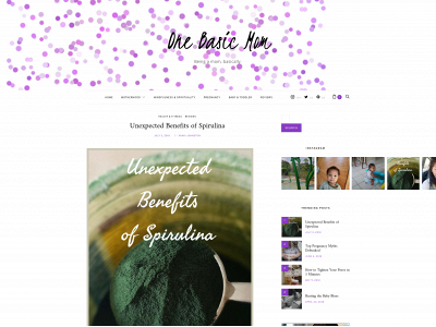 onebasicmom.com snapshot