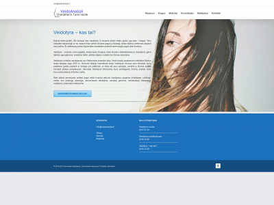 veidoanalize.lt snapshot