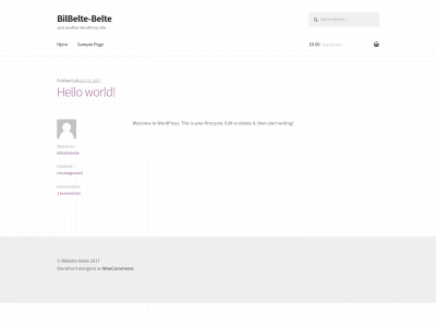 bilbeltebelte.no snapshot