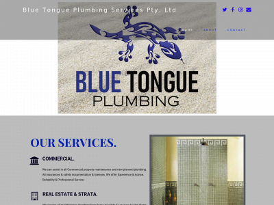 bluetongueplumbing.com snapshot