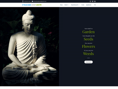 unleashandgrow.com snapshot
