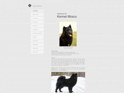 mosco.se snapshot