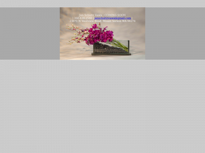janschultzvases.com snapshot