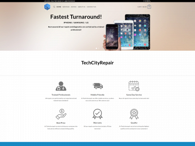 techcityrepair.com snapshot