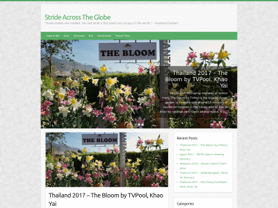 strideacrosstheglobe.com snapshot