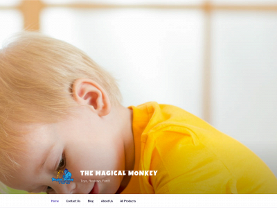 magicalmonkeytoys.com snapshot