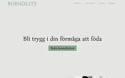bornbility.se snapshot