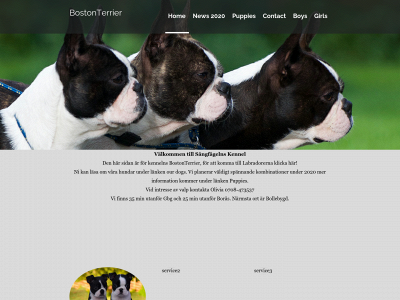 bostonterriervalpar.se snapshot