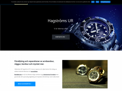 hagstromsur.se snapshot