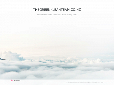 thegreenkleanteam.co.nz snapshot