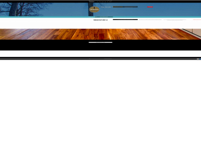 thomasonrealtygroup.com snapshot